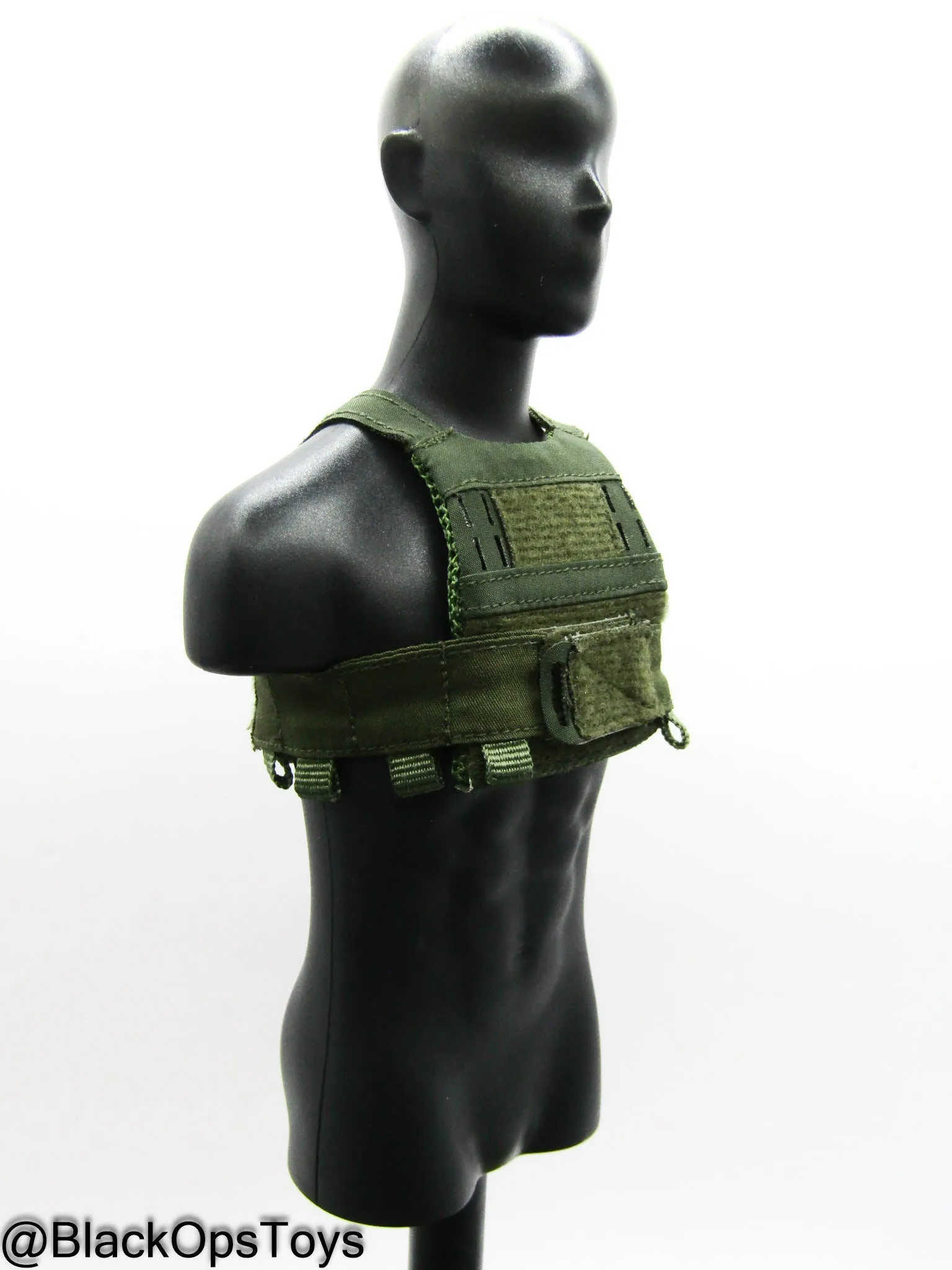 10th SFG Reconnaissance - OD Green Plate Carrier