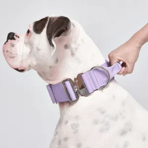 Comfort Control Collar - Lilac