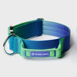 Comfort Control Collar - Lime Wave