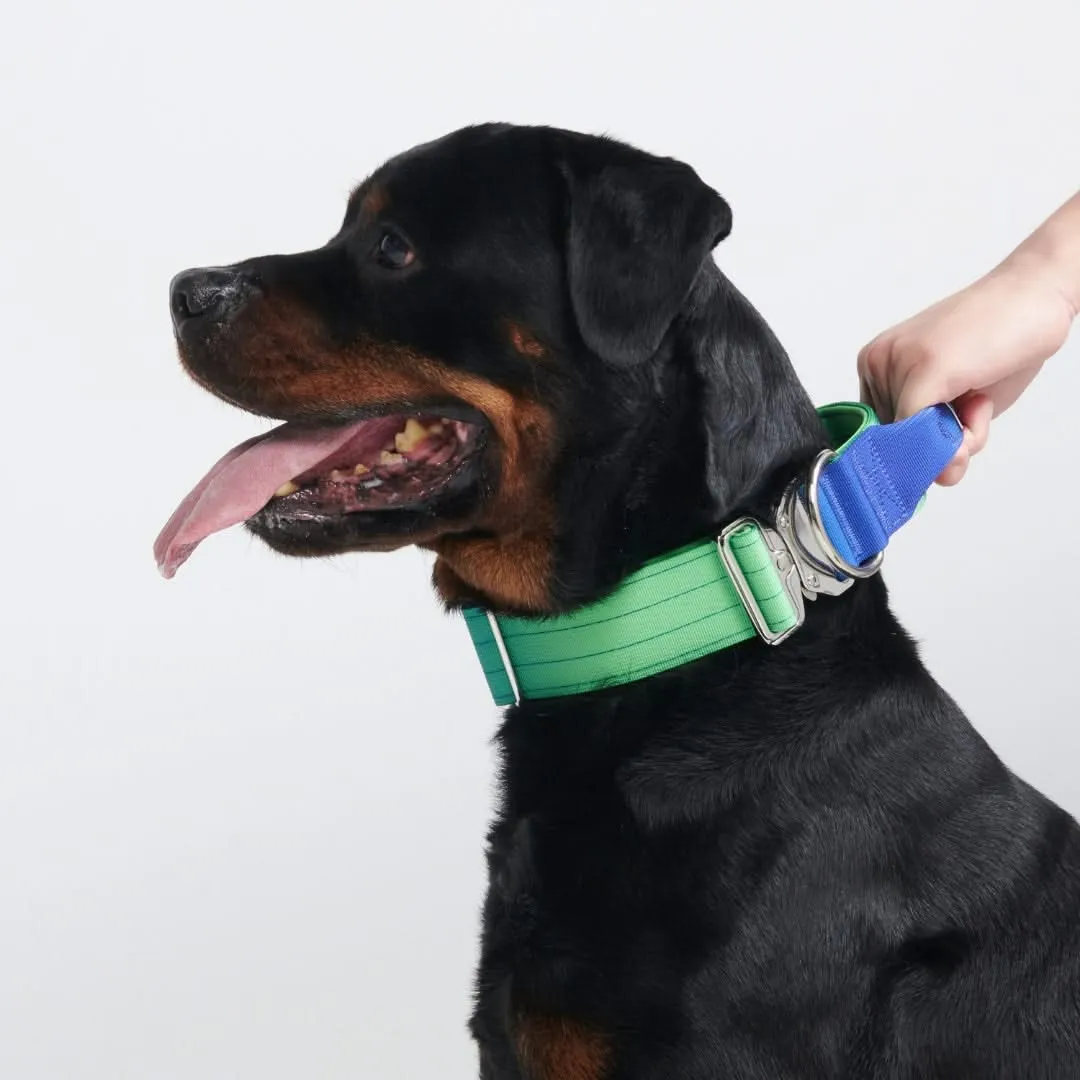 Comfort Control Collar - Lime Wave