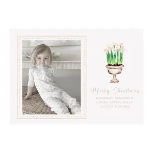 Paperwhites Planter Holiday Photo Cards