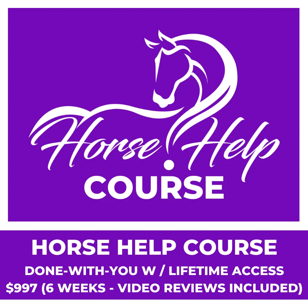 Weekly Virtual Lessons With Video Review [6 Weeks] - DWY Horse Help Course